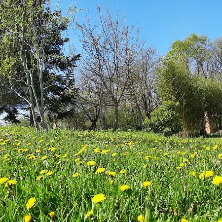 Chambre Soignee Et Accueillante A La Campagne - Ch. Jaune L'Honor-de-Cos 外观 照片