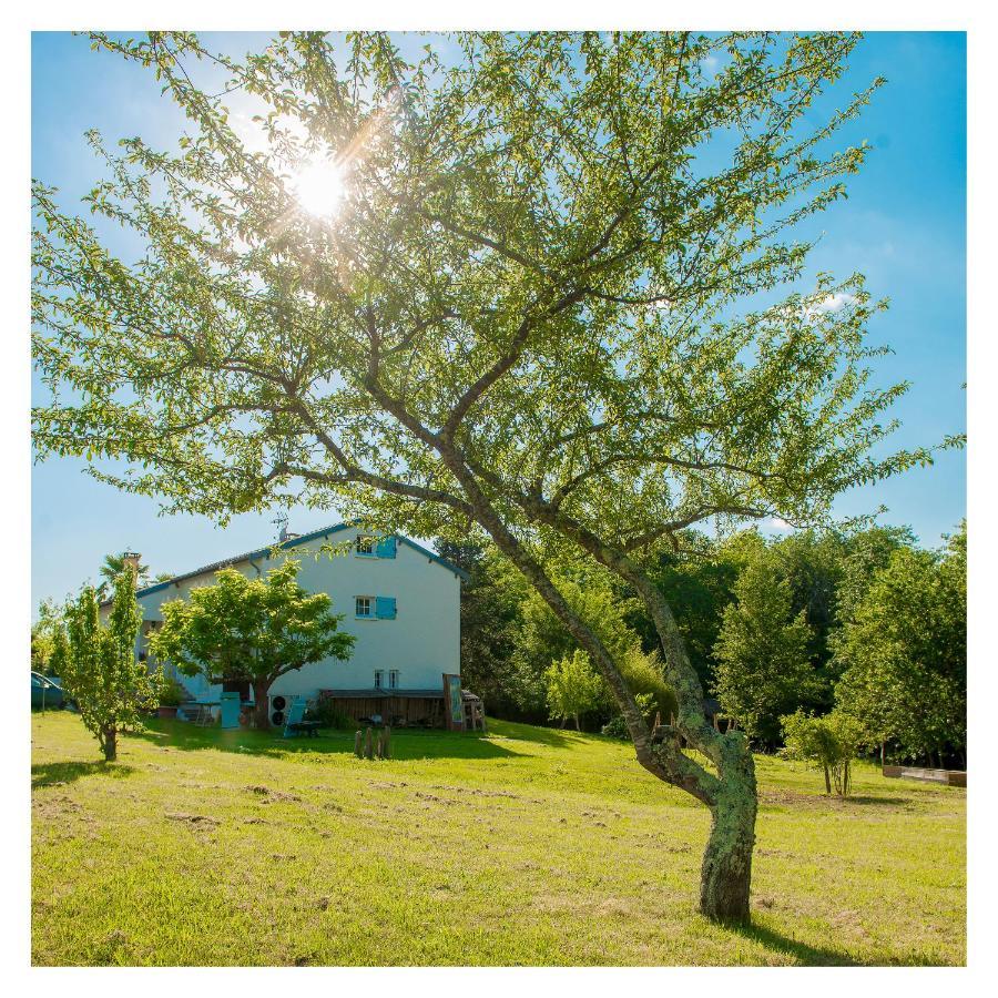 Chambre Soignee Et Accueillante A La Campagne - Ch. Jaune L'Honor-de-Cos 外观 照片