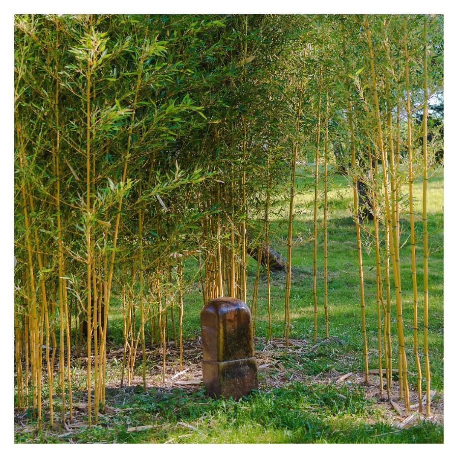 Chambre Soignee Et Accueillante A La Campagne - Ch. Jaune L'Honor-de-Cos 外观 照片